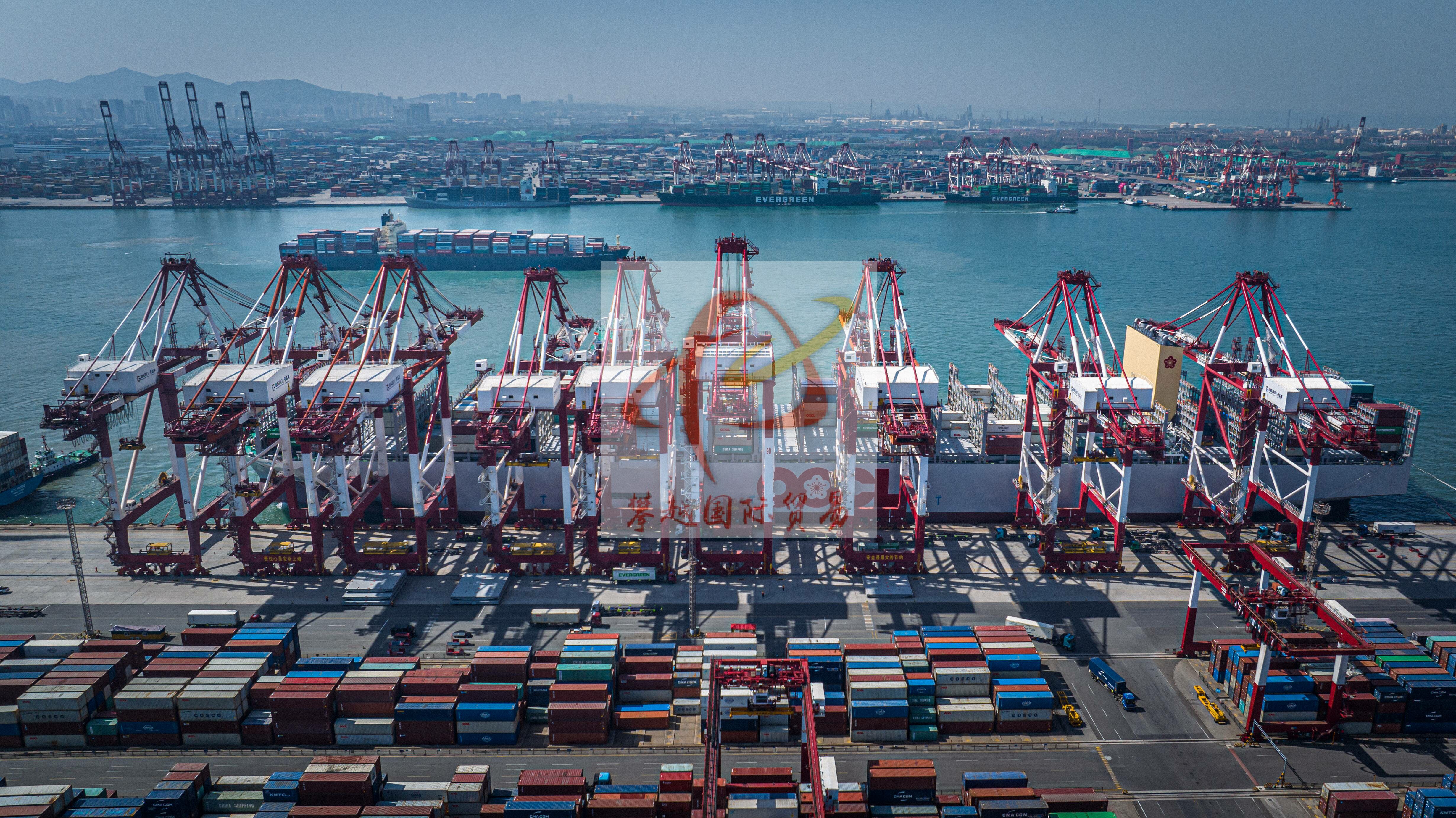 广州保税区报关代理