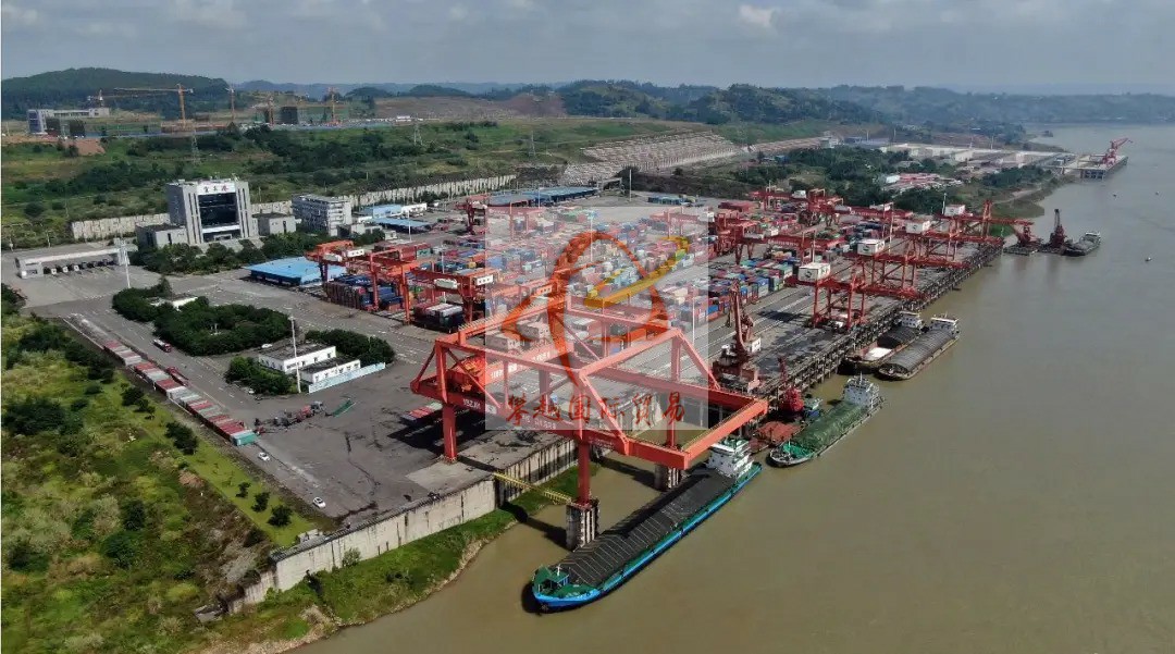 广州开发区报关公司