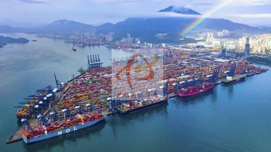 深圳蛇口港汽车脚垫出口报关_海运代理