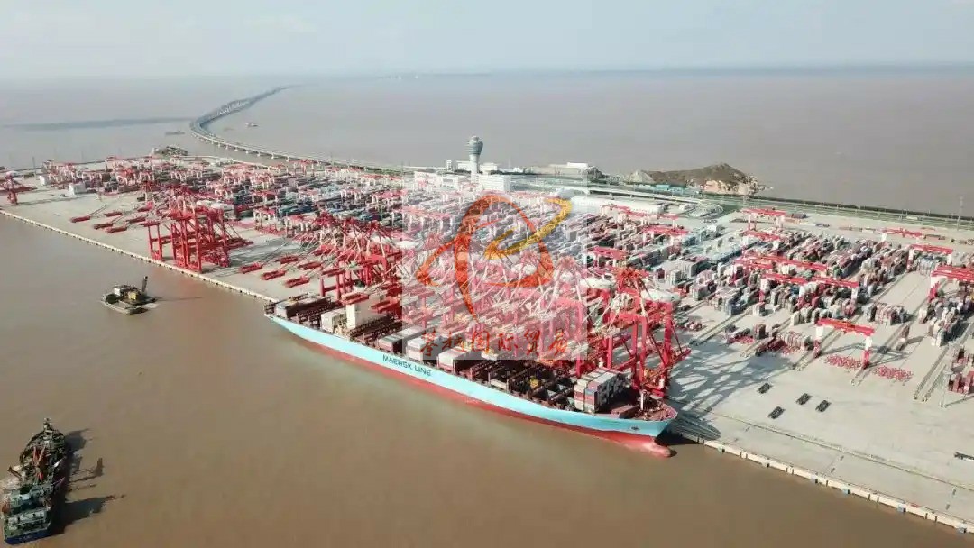 广州黄埔港饲料出口报关_海运订舱