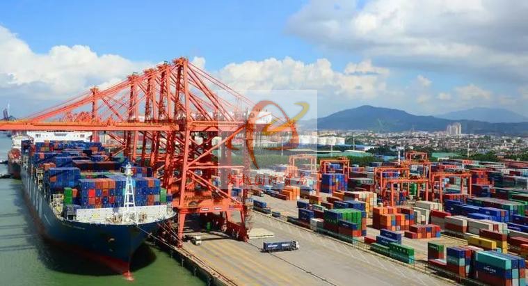 广州南沙新港报关公司