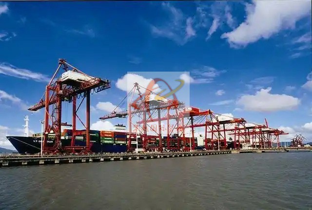 广州南沙港哺乳用品出口报关_海运代理