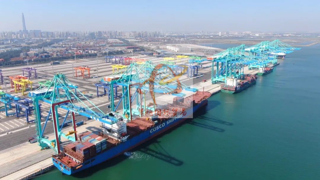 广州黄埔港指纹识别设备出口清关_海运代理