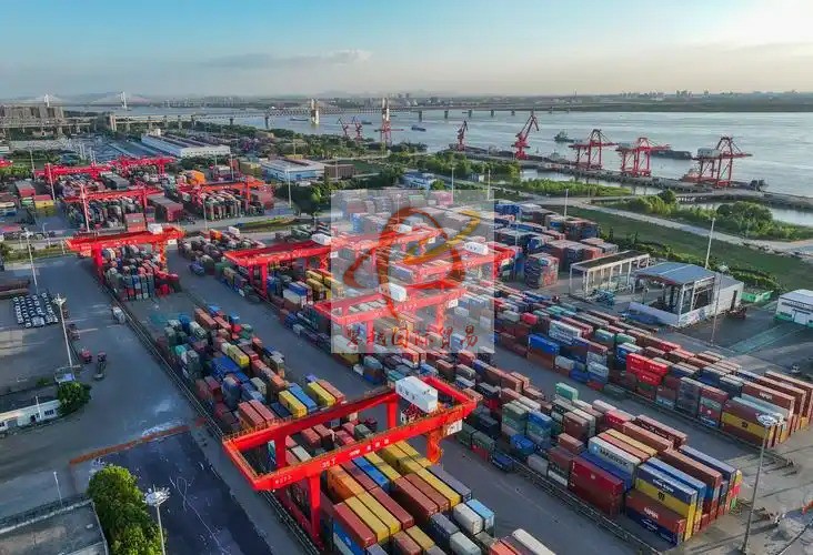 广州保税区进出口