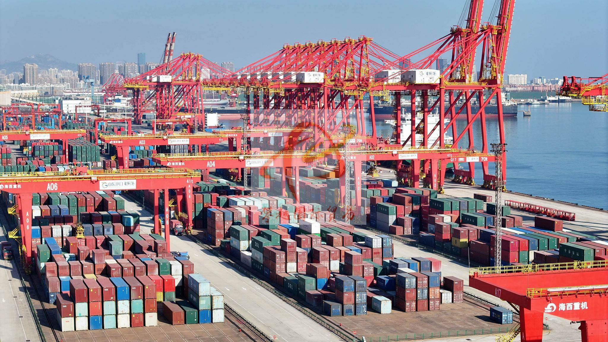 广州开发区进出口报检_木材进口检测