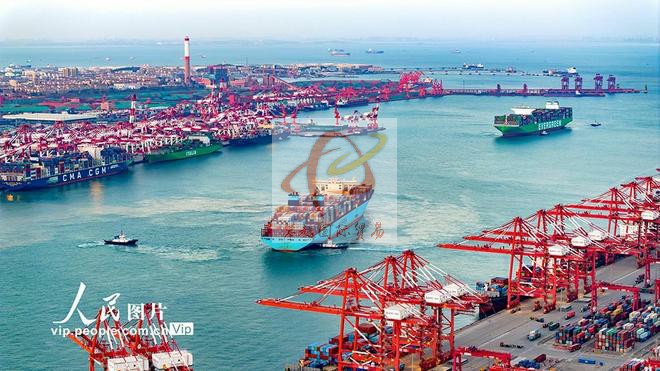 广州南沙港谷物出口报关_海运代理