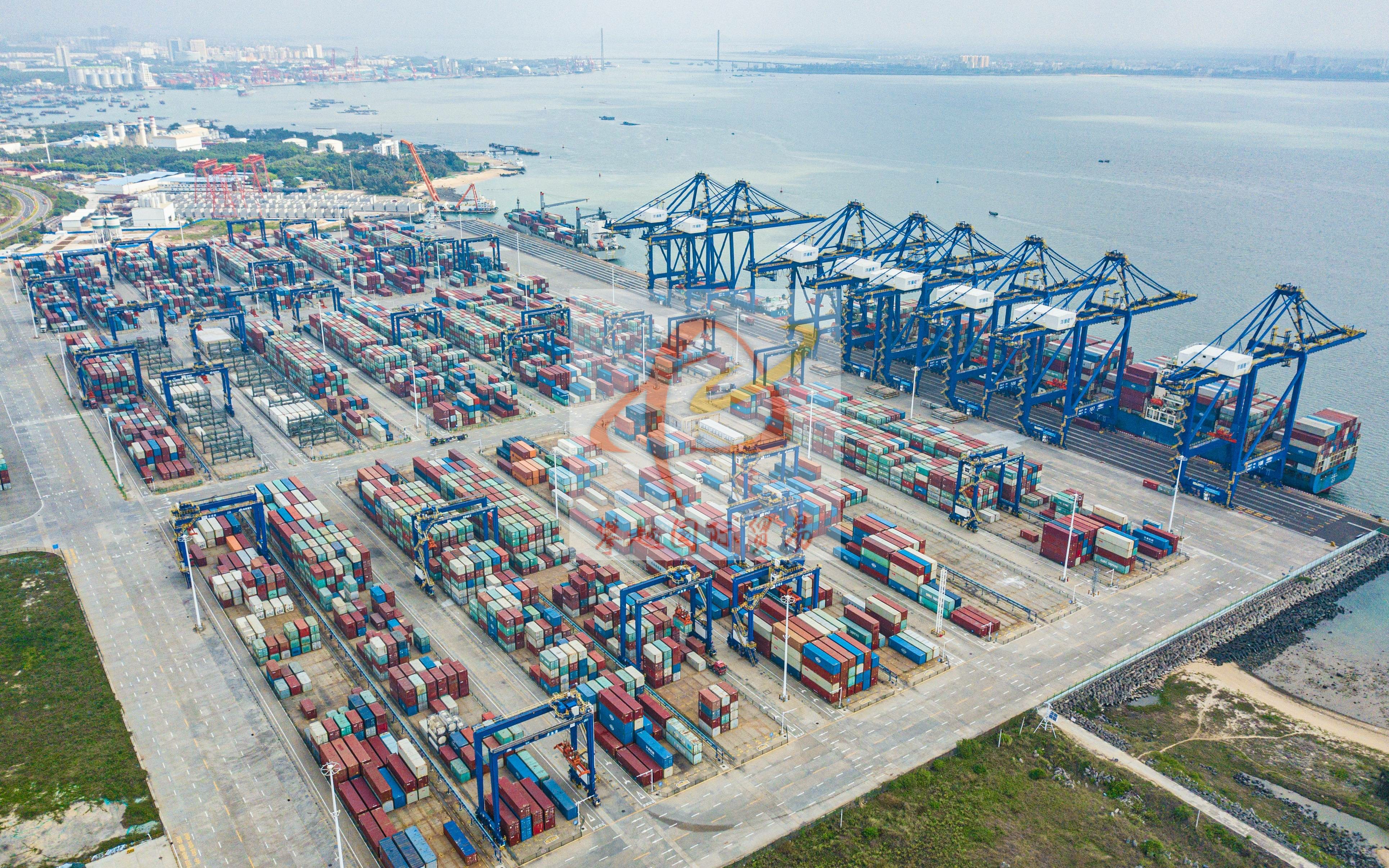 广州保税区报关公司