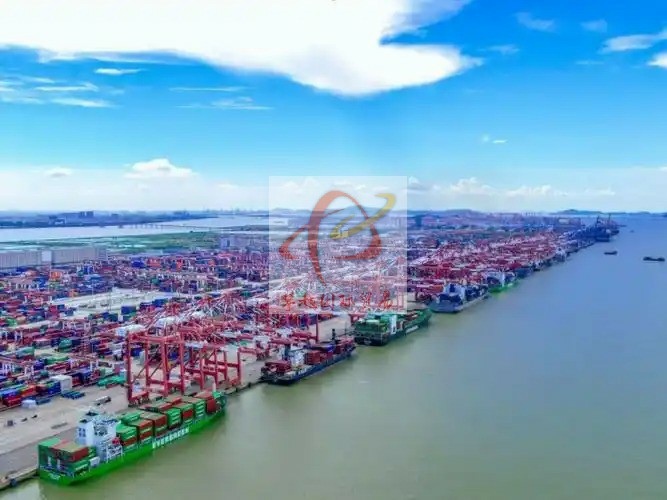 广州保税区危险品报关