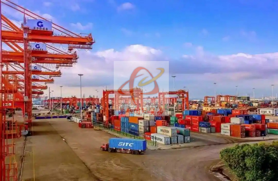 广州保税区报关服务