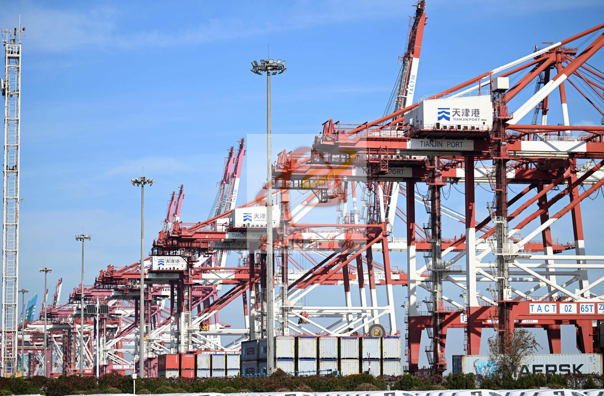 广州新风港报关公司