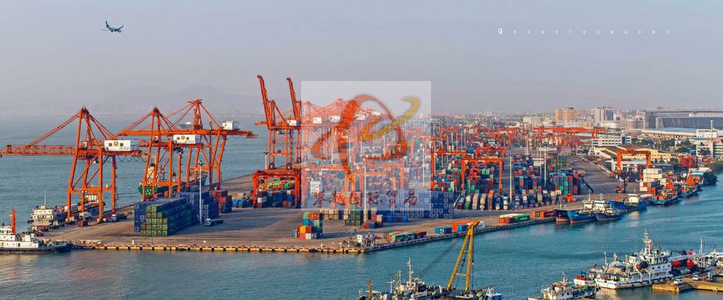 黄埔新港国际海运货代