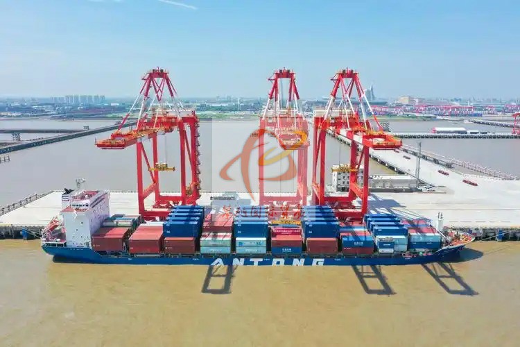 广州黄埔港办公清洁用品出口清关_海运订舱